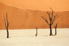 2005_namibia_dead_vlei