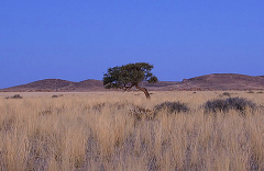 2005_namibia_desert_dirk_ehrentraut