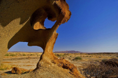 2005_namibia_desert_spring