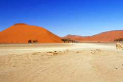 2005_namibia_dune_45