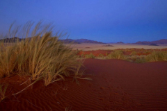 2005_namibia_namib_rand