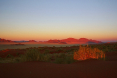 2005_namibia_namib_rand_3