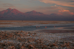 2007_lago_chaxa