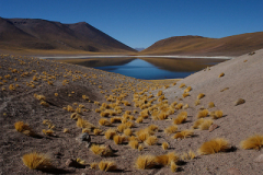 2007_laguna_miscanti