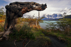 2007_torres_del_paine_2