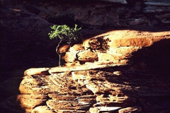 2003_canyonlands