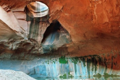 2006_grand_staircase_escalante_golden_cathedral
