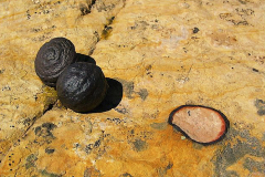 2006_grand_staircase_escalante_nm_moqui._marbles