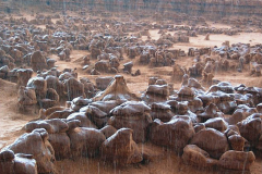 2006_utah_goblins_valley_state_park_rain