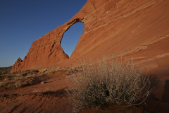 2008_arizona_hope_arch