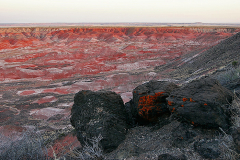 2008_arizona_petrified_forest
