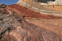 2008_arizona_white_pocket