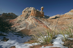 2008_arizona_white_pocket_3