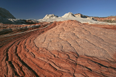 2008_arizona_white_pocket_4