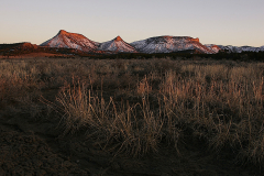 2008_colorado_cortez