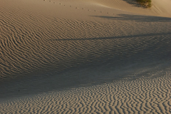 2008_kalifornien_death_valley_mesquite_sand_dunes