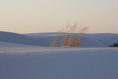 2008_new_mexico_white_sands_2