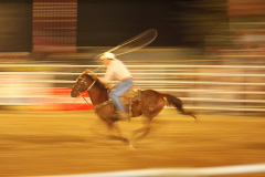 2009_kalifornien_barstow_rodeo