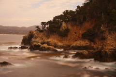 2009_kalifornien_point_lobos_state_reserve