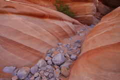 2009_nevada_linien