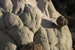 2009_new_mexico_xxl_golf_ball_pin