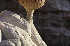 2009_new_mexico_xxl_golf_ball_with_pin_2