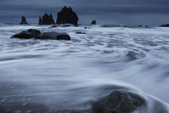 2010_usa_oregon_back_in_black_2