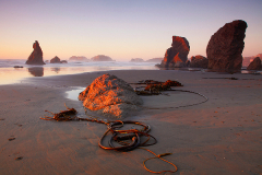 2010_usa_oregon_bandon_beach