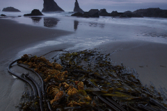 2010_usa_oregon_bandon_beach_5