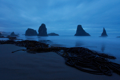 2010_usa_oregon_bandon_beach_6