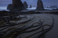 2010_usa_oregon_gesang_der_sirenen