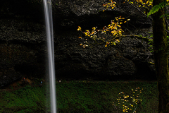2010_usa_oregon_silver_falls_state_park_south_falls