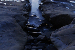 2011_usa_san_diego_la_jolla_2