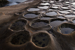 2011_usa_san_diego_la_jolla_tide_pools_2