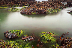 2016_elfens-birthplace_usa