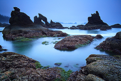 2016_usa__washington_elfens_birthplace