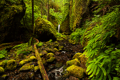 2016_usa_oregon_farnfalls