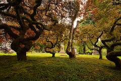 2016_usa_oregon_wald_der_geschichten