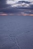 Salt Flats