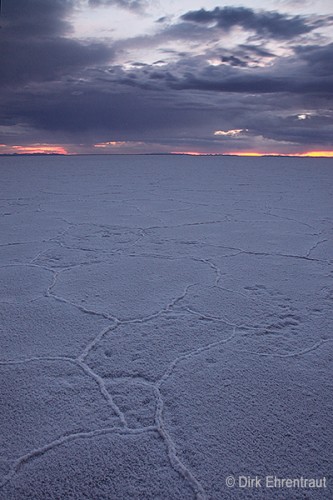 Salt Flats